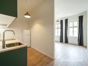 Pronájem bytu 1+1, Praha - Karlín, Hybešova, 33 m2