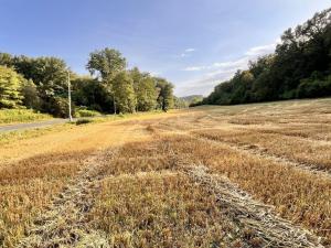 Prodej pozemku pro bydlení, Kralupy nad Vltavou - Minice, 14370 m2