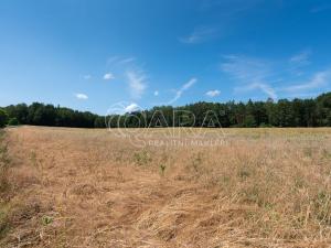 Prodej zemědělské půdy, Huntířov - Stará Oleška, 49506 m2