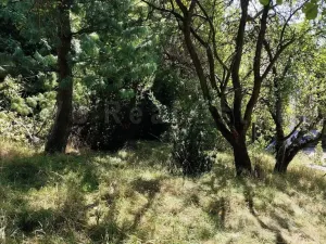 Prodej pozemku pro bydlení, Ostrava - Koblov, Koblovská, 1607 m2