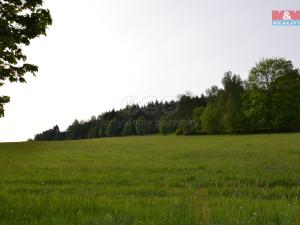 Prodej trvalého travního porostu, Hronov - Žabokrky, 98220 m2