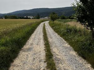 Prodej zemědělské půdy, Lety, 5417 m2