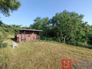 Prodej chaty, Nový Šaldorf-Sedlešovice, 16 m2