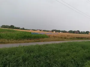 Prodej zemědělské půdy, Kunčice, 5423 m2