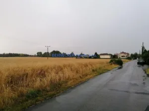 Prodej zemědělské půdy, Kunčice, 5423 m2