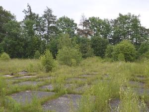 Prodej pozemku pro komerční výstavbu, Žamberk, Orlická kasárna, 8600 m2