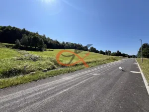 Prodej pozemku pro bydlení, Rožnov pod Radhoštěm, 2923 m2