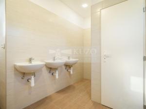 Pronájem ubytování, Plzeň, K Papírně, 574 m2