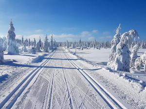 Prodej bytu 1+kk, Bedřichov, 31 m2