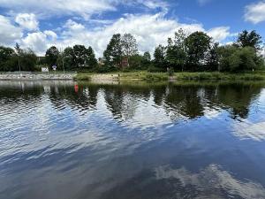 Prodej trvalého travního porostu, Týn nad Vltavou, Hněvkovice na pravém břehu Vlt., 1648 m2