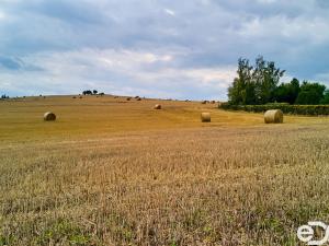 Prodej podílu 5/8 pozemku, Mrač, 2374 m2