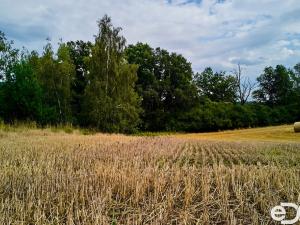 Prodej podílu 5/8 pozemku, Mrač, 2374 m2