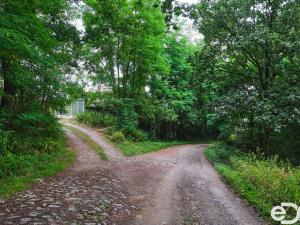 Prodej podílu 5/8 pozemku, Mrač, 2374 m2