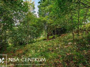 Prodej trvalého travního porostu, Bedřichov, 5250 m2