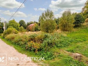 Prodej trvalého travního porostu, Bedřichov, 3741 m2