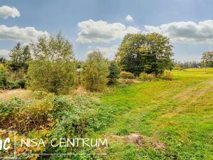 Prodej trvalého travního porostu, Bedřichov, 3741 m2