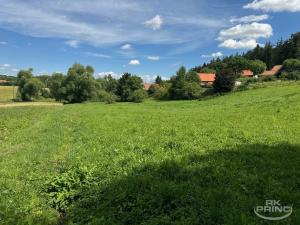 Prodej pozemku pro bydlení, Třeboc, Třeboc, 7273 m2