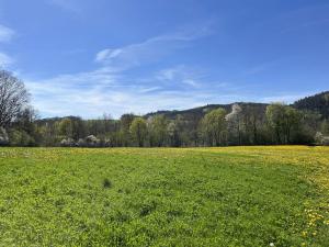 Prodej zemědělské půdy, Kájov - Staré Dobrkovice, 15428 m2