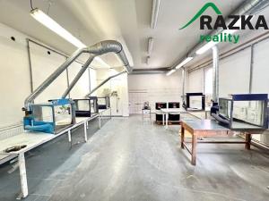 Pronájem výrobních prostor, Tachov, 520 m2