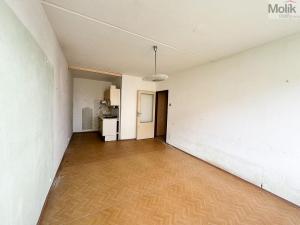 Prodej bytu 2+kk, Krupka - Bohosudov, Dlouhá, 39 m2