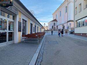 Pronájem obchodního prostoru, Kroměříž, Farní, 240 m2