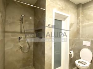 Pronájem rodinného domu, Litvínovice, Průběžná, 110 m2