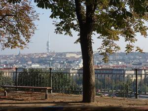 Pronájem bytu 3+kk, Praha - Bubeneč, U studánky, 74 m2