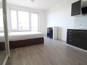 Pronájem bytu 1+kk, Praha - Dolní Měcholupy, Honzíkova, 30 m2