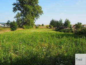 Prodej rodinného domu, Františkovy Lázně - Aleje-Zátiší, Aleje, 4633 m2