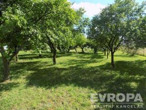 Prodej zahrady, Bělušice, 4787 m2