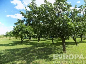 Prodej zahrady, Bělušice, 4787 m2