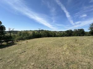 Prodej trvalého travního porostu, Jílové u Prahy, 12734 m2