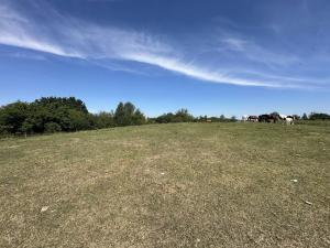 Prodej trvalého travního porostu, Jílové u Prahy, 12734 m2