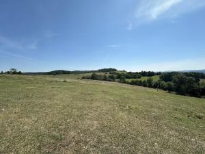 Prodej trvalého travního porostu, Jílové u Prahy, 12734 m2