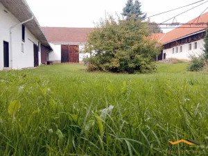 Prodej zemědělské usedlosti, Horní Radouň - Starý Bozděchov, 2600 m2