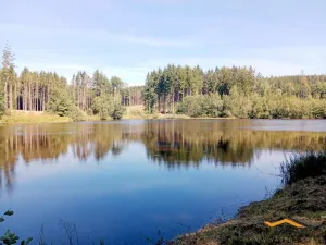 Prodej zemědělské usedlosti, Horní Radouň - Starý Bozděchov, 2600 m2