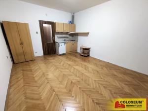 Pronájem bytu 1+kk, Židlochovice, 25 m2