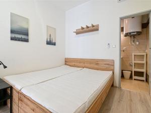 Pronájem bytu 1+kk, Brno, Mendlovo náměstí, 19 m2