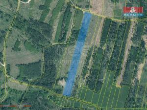 Prodej lesa, Jetětice, 33230 m2