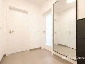 Pronájem bytu 2+kk, Praha - Žižkov, Olgy Havlové, 46 m2