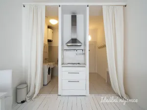 Pronájem bytu 1+kk, Praha - Holešovice, Jankovcova, 28 m2