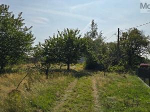 Prodej pozemku pro bydlení, Lom - Loučná, Tyršova stezka, 3264 m2