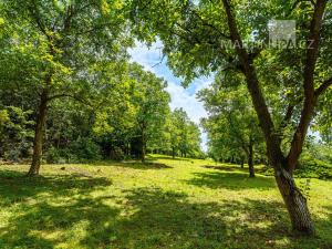 Prodej pozemku pro bydlení, Roztoky, V Úvoze, 3034 m2