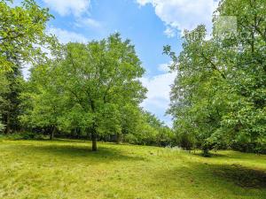 Prodej pozemku pro bydlení, Roztoky, V Úvoze, 3034 m2