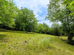 Prodej pozemku pro bydlení, Roztoky, V Úvoze, 3034 m2