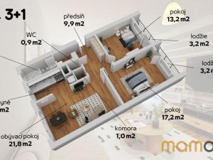 Prodej bytu 3+1, Brandýs nad Labem-Stará Boleslav - Brandýs nad Labem, Kostelecká, 78 m2