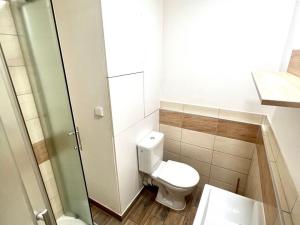 Pronájem bytu 1+kk, Tachov, Bělojarská, 21 m2