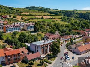 Pronájem obchodního prostoru, Starý Hrozenkov, 520 m2