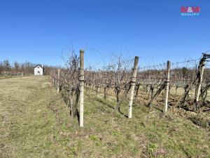 Prodej zahrady, Břeclav - Charvátská Nová Ves, 931 m2