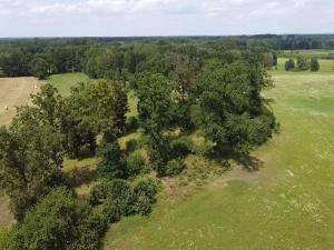 Prodej lesa, Chlum u Třeboně - Žíteč, 130000 m2